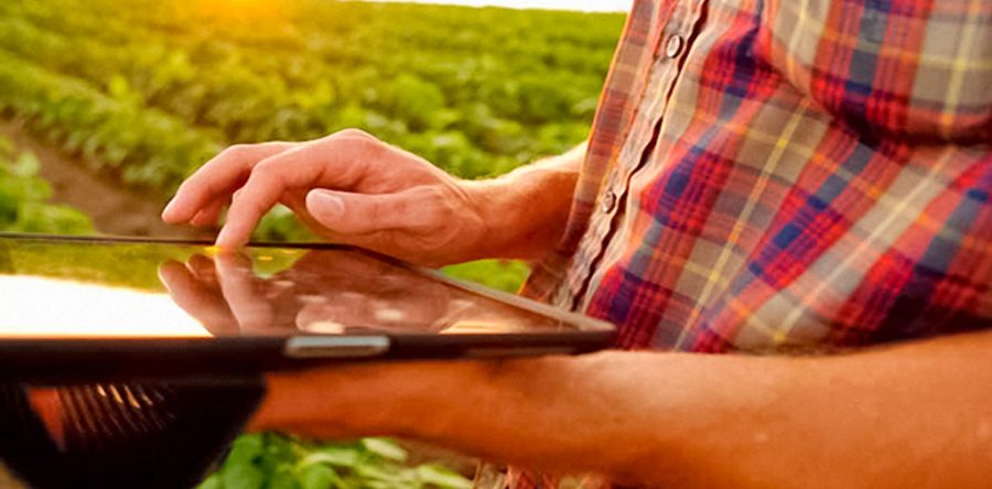 Auditoria Agropecuaria