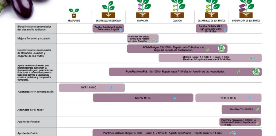 Planes de Fertilización y Biológicos